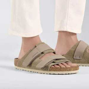 Uji Nubukleder/Veloursleder-Birkenstock Store
